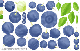 蓝莓手绘素材