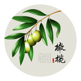 橄榄