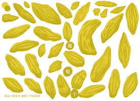 葡萄干手绘素材