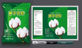 棉花种子(展开图)