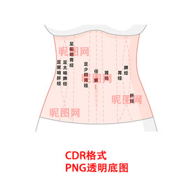 腹部筋络筋脉图高清图