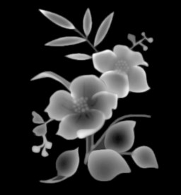 花灰度图