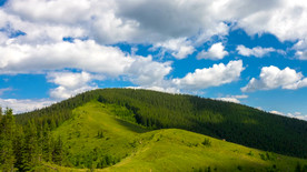 春天的绿山景观