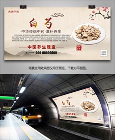 中药白芍海报灯箱展板展架挂画