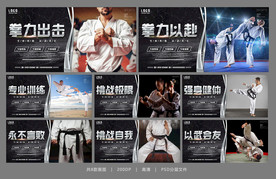 跆拳道海报