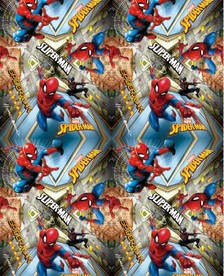 蜘蛛侠 英雄 四方连续 布艺