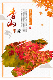 香山 海报 秋天 中国风 枫叶