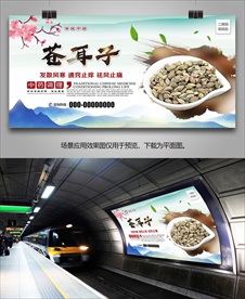 中草药苍耳子灯箱海报挂画单页