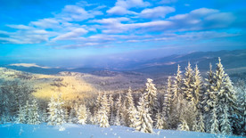白雪皑皑的丛林山的风景