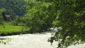 河边草地上木屋