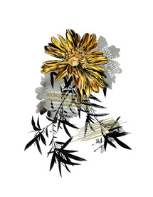 菊花英文图片大全 菊花英文设计素材 菊花英文模板下载 菊花英文图库 昵图网soso Nipic Com