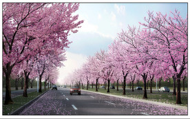 市政道路效果图