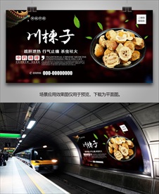 川楝子海报灯箱展板展架挂画单页