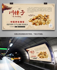 中草药川楝子灯箱海报挂画单页
