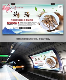 中药海马批发海报灯箱展板展架