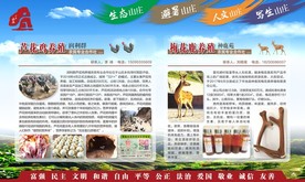 芦花鸡 鸡蛋 梅花鹿 鹿血展板