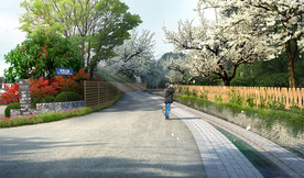 乡村道路改造绿化 效果图