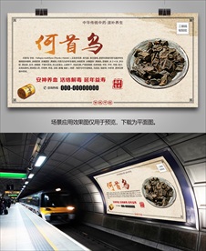 中药材何首乌海报灯箱展板展架