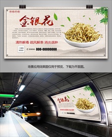 金银花简介海报灯箱展板挂画单页