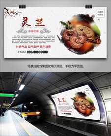 灵芝招贴海报灯箱展板展架挂画