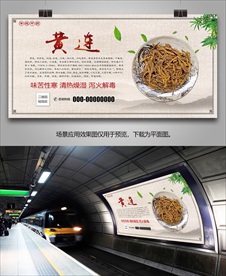 中草药黄连灯箱海报展板展架挂画