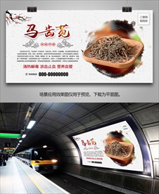 马齿苋灯箱海报展板展架挂画单页