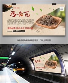 中药马齿苋灯箱海报展板展架挂画