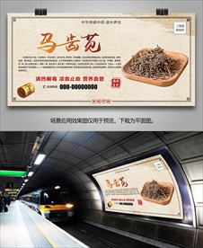 中草药马齿苋海报灯箱展板单页
