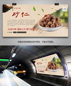 砂仁简介海报灯箱展板展架挂画