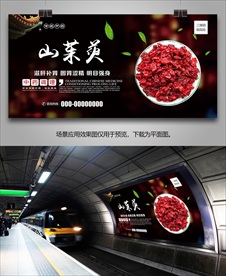 山茱萸海报灯箱展板展架挂画单页