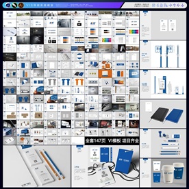 蓝色科技公司VIS