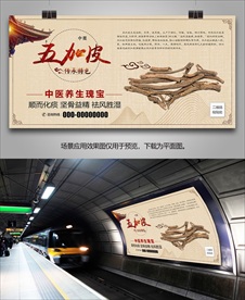 中药五加皮招贴海报灯箱挂画单页