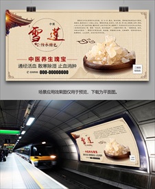 雪莲简介海报灯箱展板展架挂画