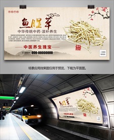 鱼腥草展板展架灯箱海报挂画单页