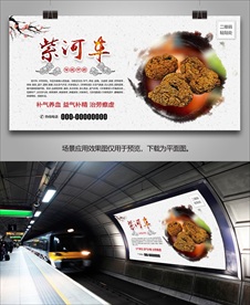 紫河车灯箱海报挂画单页展板展架