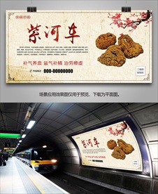 中药材紫河车灯箱海报展板展架