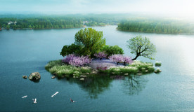 湿地公园 湖心岛 效果图