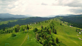 山脉大树草地草原