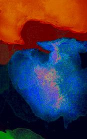 现代简约抽象装饰画