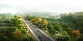道路绿化景观效果图