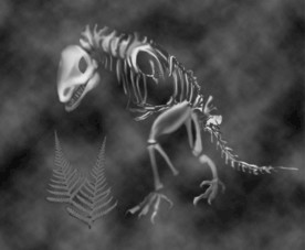 恐龙骨头灰度图