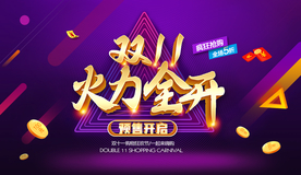 双十一