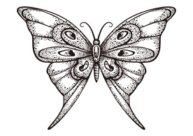 矢量蝴蝶