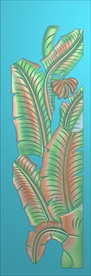 精雕图 芭蕉