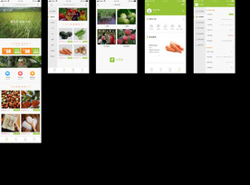 移动端原生态健康饮食小程序界面