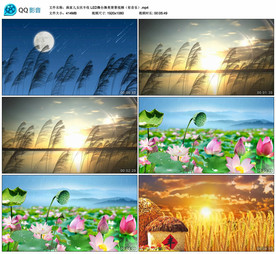 渔家儿女庆丰收 舞台背景视频