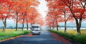 生态旅游效果图