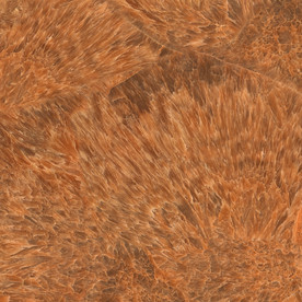 高端 石纹新大理石 TIF合层