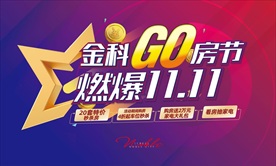 双11购房节