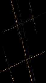 金丝根线条 黑白根大理石纹理